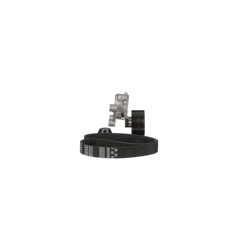 Gates V-Ribbed Belt Set K016PK803