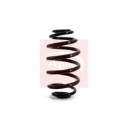 Apec Rear Suspension Coil Spring ACS1144