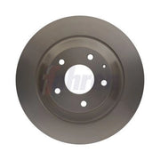 Fahren 2 x Solid Rear Brake Discs FBD6755