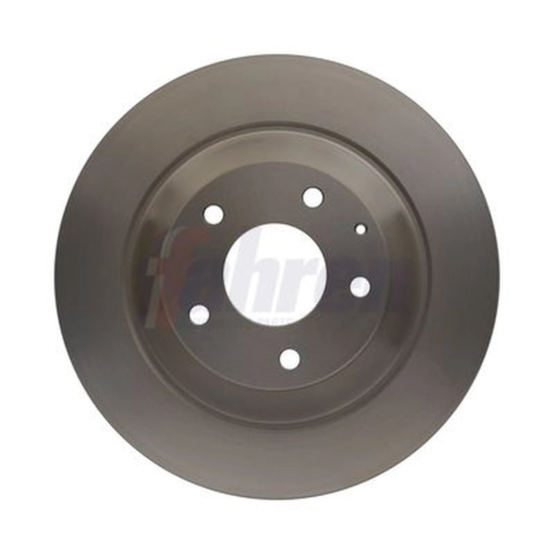 Fahren 2 x Solid Rear Brake Discs FBD6755