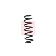 Apec Rear Suspension Coil Spring ACS1640