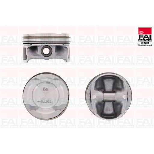FAI Piston Cylinder Bore = PK316-050