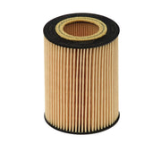 Hengst Engine Oil Filter E106H D171