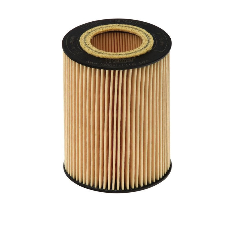 Hengst Engine Oil Filter E106H D171