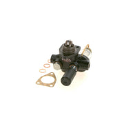 Bosch Fuel Pump Assembly 0 440 008 999