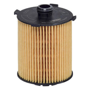 Hengst Engine Oil Filter E217H D310