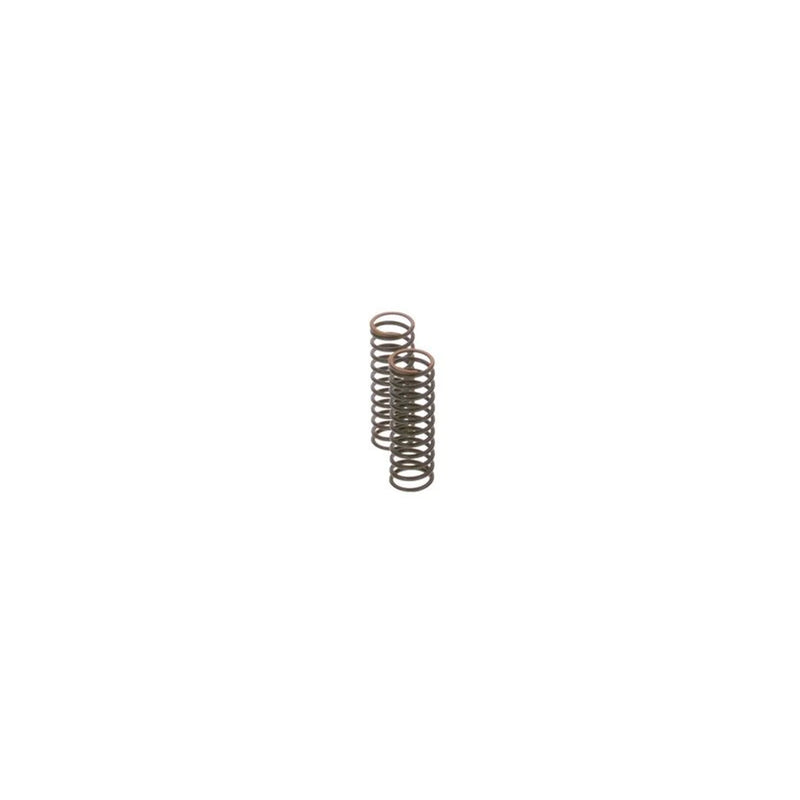 Bosch Compression Spring 2 444 617 003