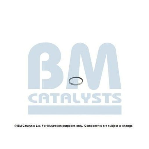 BM Catalysts Fitting Kit FK15068A FK15068A