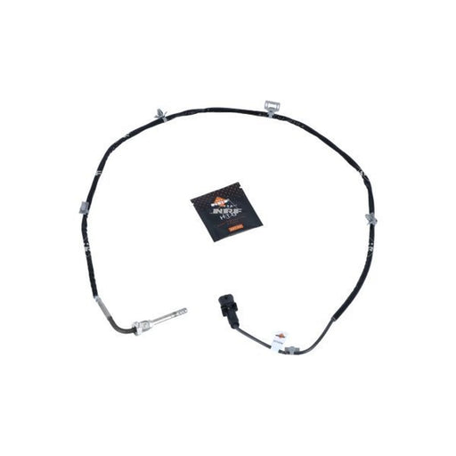 NRF Exhaust Gas Temperature Sensor before soot particulate fil 707026