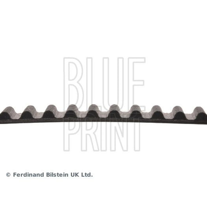 Blue Print Timing Belt Cambelt 95 Teeth ADK87503