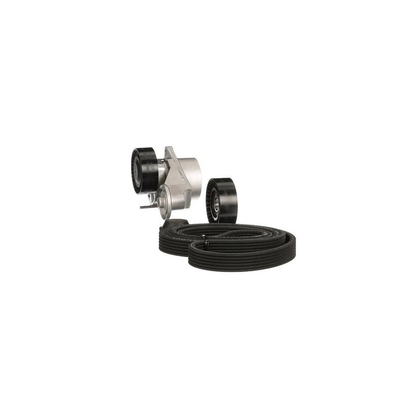 Gates V-Ribbed Belt Set K016DPK1838