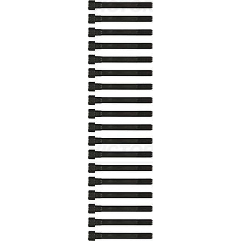 Victor Reinz Cylinder Head Bolt Set M12 14-55015-01