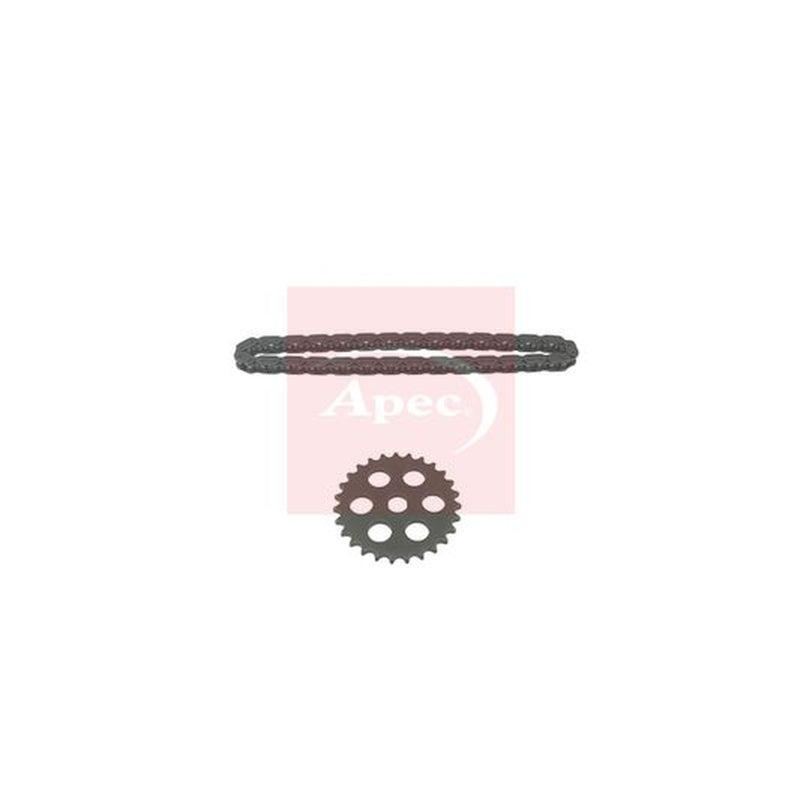 Apec Oil Pump Drive Chain Kit ACK4229