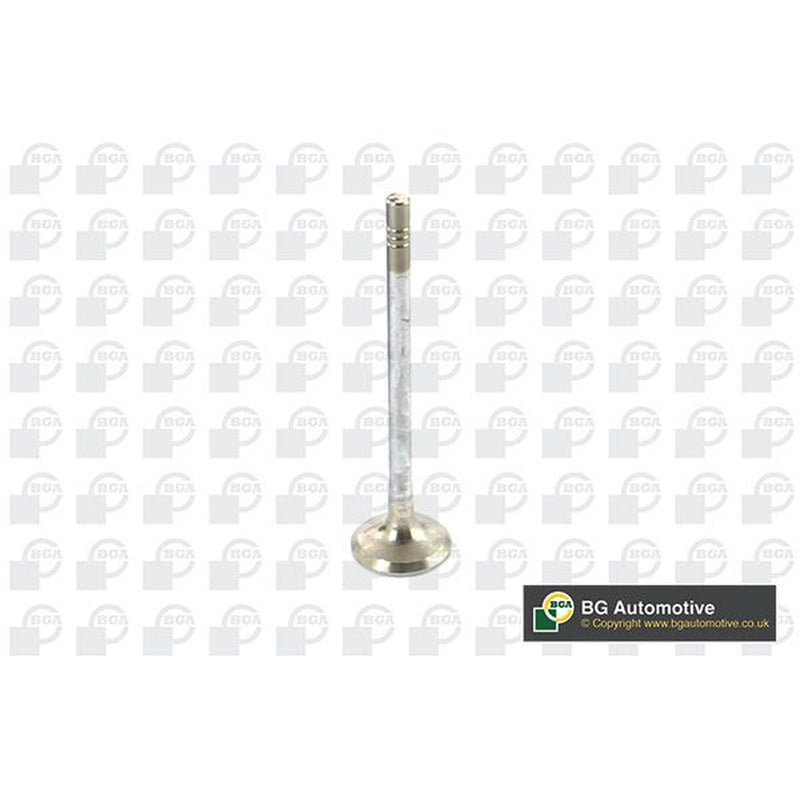 BGA Engine Exhaust Valve Head V149482