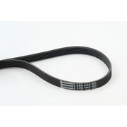 Continental CTAM Multi V-Ribbed Drive Belt 5PK1145