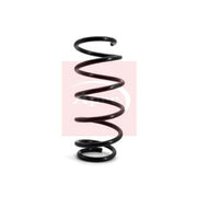 Apec Front Suspension Coil Spring ACS1105