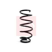 Apec Front Suspension Coil Spring ACS1105