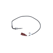 NRF Exhaust Gas Temperature Sensor before soot part 707085