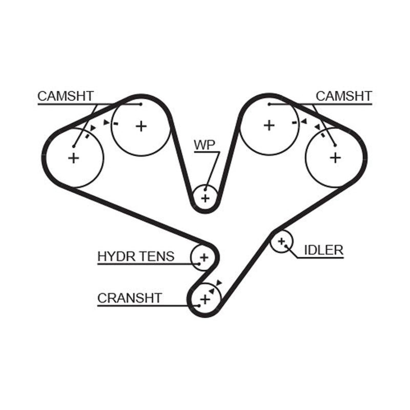 Gates Timing Belt Cambelt 251 Teeth 5659XS
