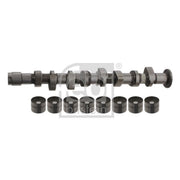 Febi Camshaft Kit Set With Bearings 32994