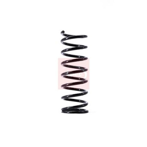 Apec Rear Suspension Coil Spring ACS1484