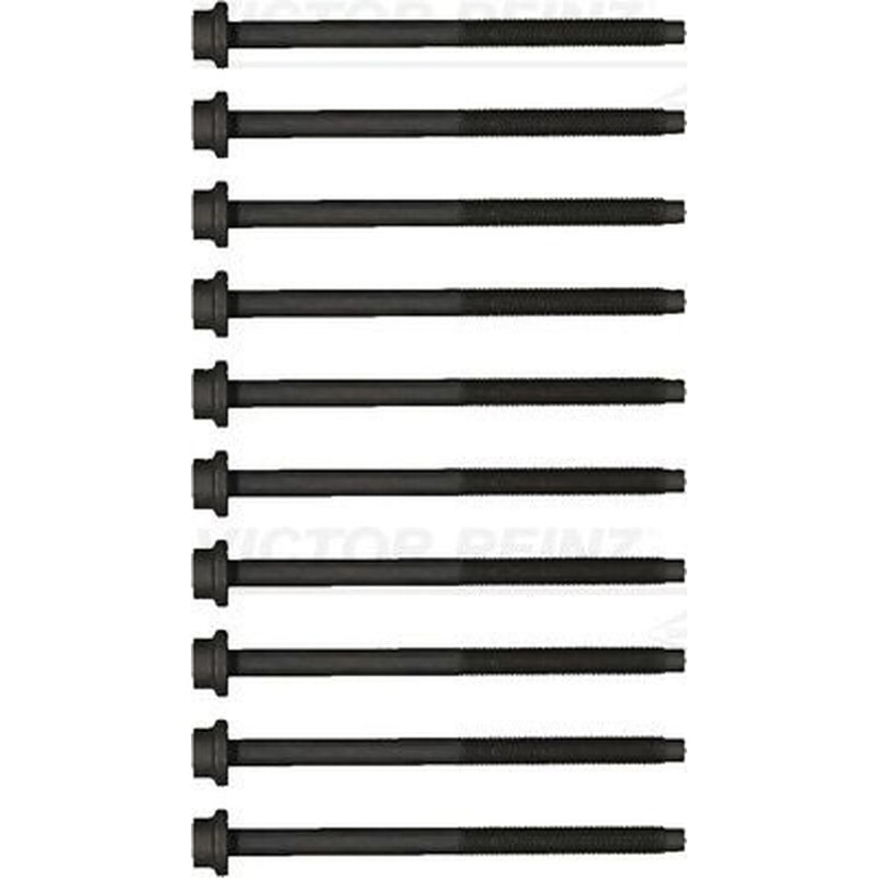 Victor Reinz Cylinder Head Bolt Set M10 14-20348-01