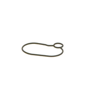 Bosch Sealing Ring Gasket 2 440 210 054