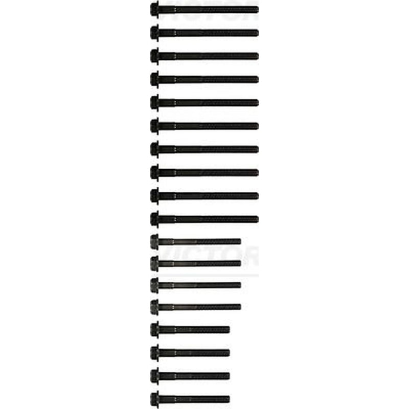 Victor Reinz Cylinder Head Bolt Set 14-32259-01