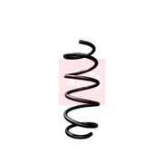 Apec 2 x Suspension Springs ACS1989
