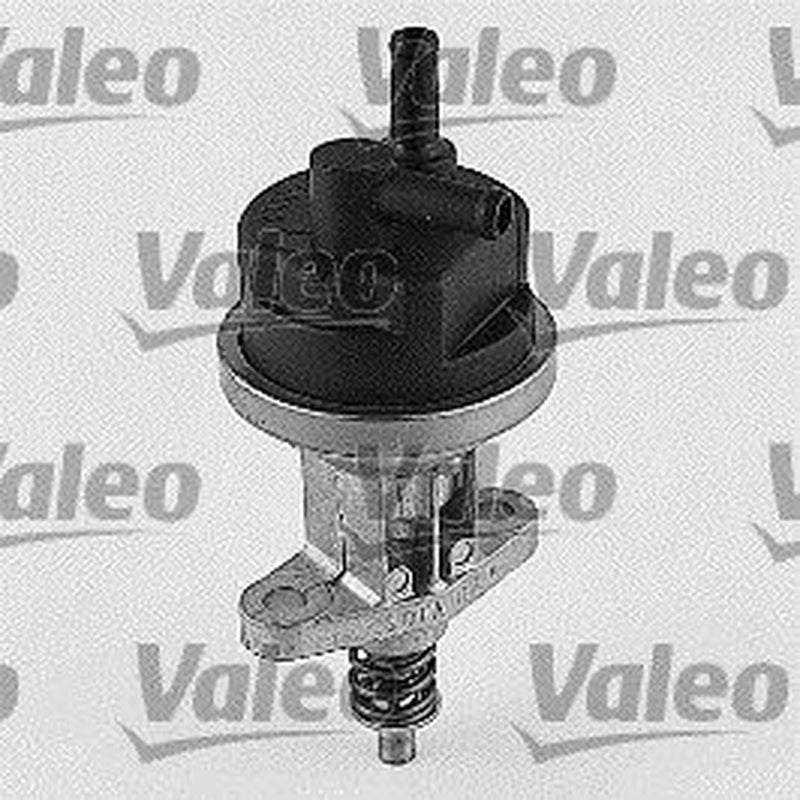 Valeo Fuel Pump Assembly 247070