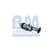 BM Catalysts Homologated Diesel Cat & Dpf BM11179H