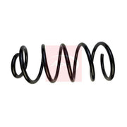 Apec Front Suspension Coil Spring ACS1756