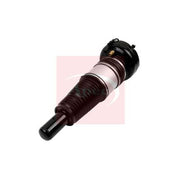 Apec Air Suspension Strut Shock AAS1119