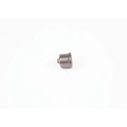 Bosch Engine Control Valve 2 418 554 055