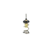 NRF Thermostat,Coolant 725093