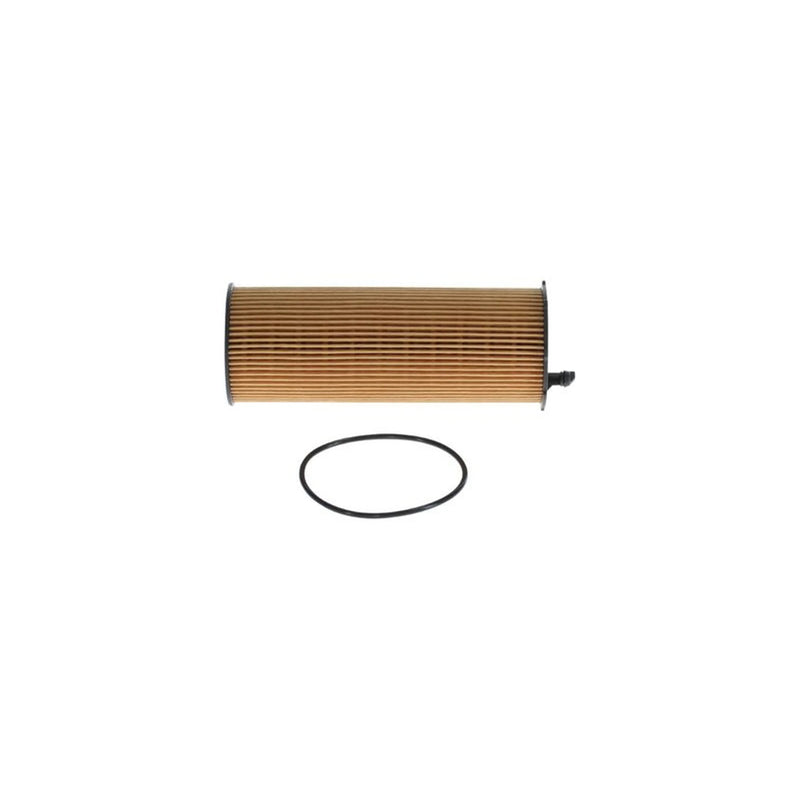 Bosch Engine Oil Filter F 026 407 066