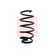 Apec Front Suspension Coil Spring ACS1093