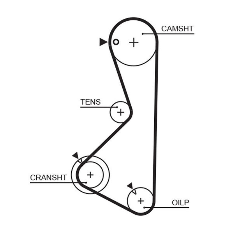 Gates Timing Belt Cambelt 122 Teeth 1075RM
