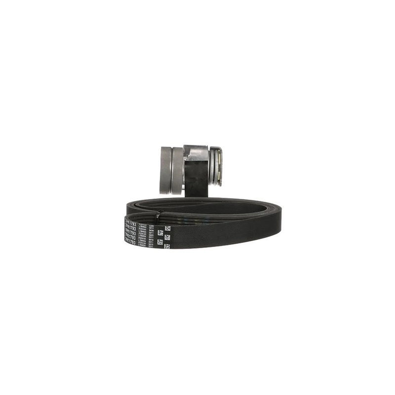 Gates V-Ribbed Belt Set K017PK1793