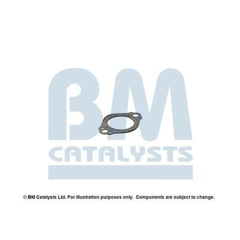 BM Catalysts Fitting Kit FK11248A FK11248A