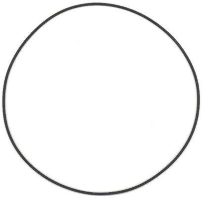 Elring 825.786 Seal Ring