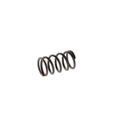 Bosch Compression Spring F 00R 0P1 447