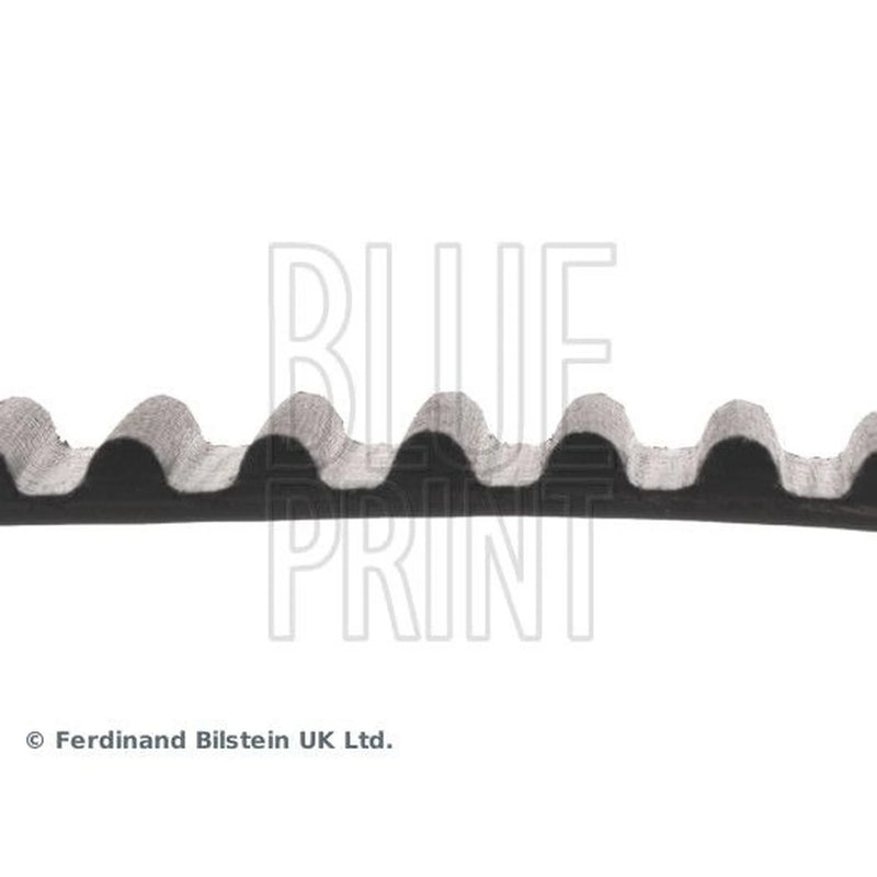 Blue Print Timing Belt Cambelt 95 Teeth ADD67511