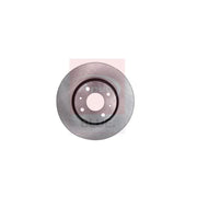 Apec 2 x Vented Front Brake Discs SDK6147