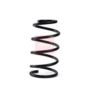 Apec Front Suspension Coil Spring ACS1983