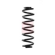 Apec 2 x Suspension Springs ACS2353