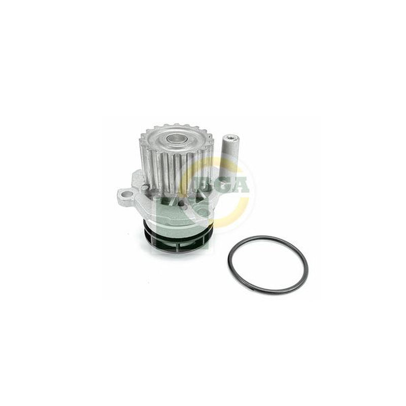 BGA Engine Cooling Water Pump CP0106