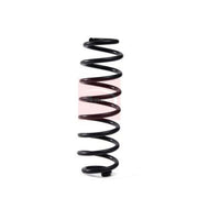 Apec Rear Suspension Coil Spring ACS2018
