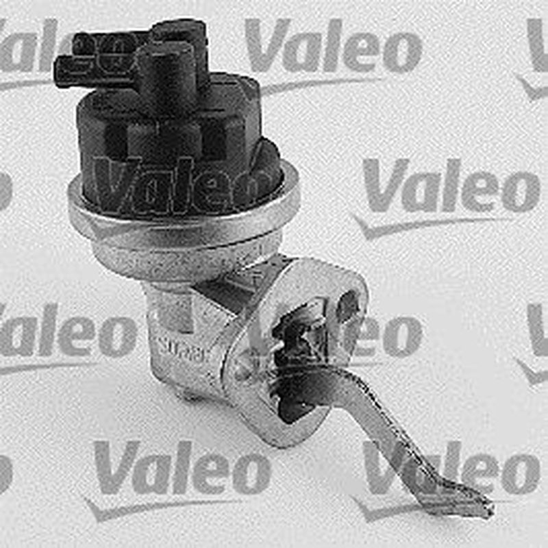Valeo Fuel Pump Assembly 247141