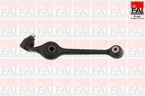 FAI Control/Trailing Arm